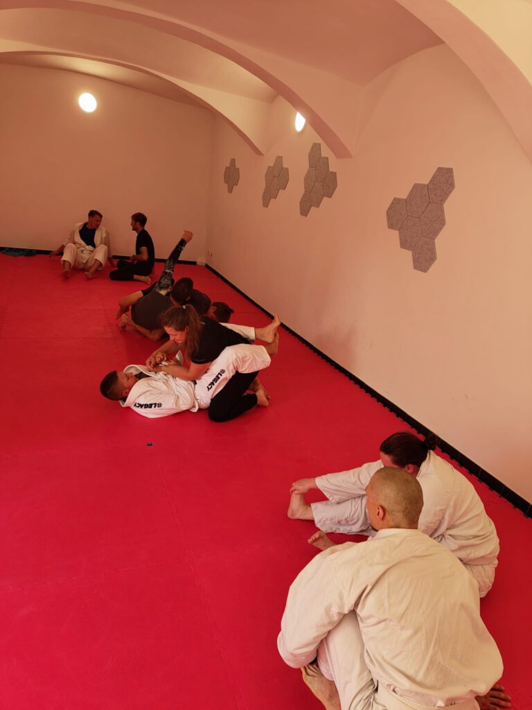Training im Dojo: mehrere Paare üben Bodentechniken auf der roten Matte